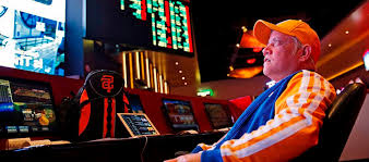 Как войти на сайт Grizzly Casino